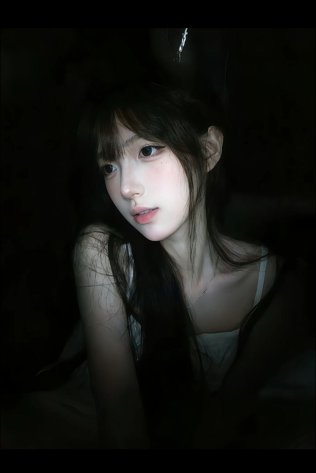 星耀五洲